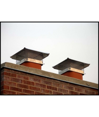 Chimney cap installation animal exclusion