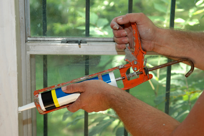 Preventing wildlife issues caulk corners of house Traverse City